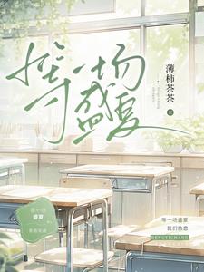 赴一场盛夏之约